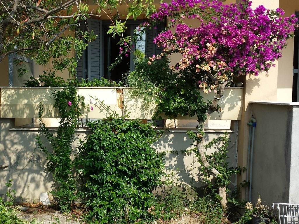 Zach'S House Villa Nea Roda Bagian luar foto